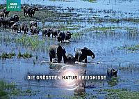 Die grössten Naturereignisse [DVD], 7