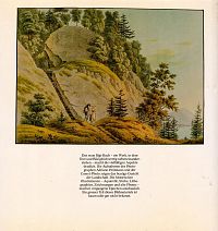 Rigi - Berg mit vielen Gesichtern, 1