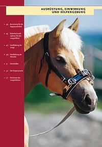 Rückentraining mit dem Kappzaum, 3