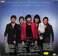 Eye of the Tiger [Vinyl], 1