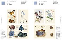 Die Farben der Natur, 7