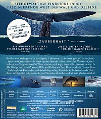 Die Könige der Ozeane [Blu-ray], 4