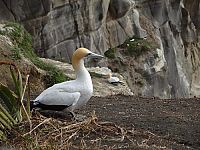 Neuseeland 3D - Das vergessene Paradies [Blu-ray], 2