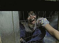 Houses of Terror [DVD], 4