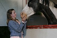 Ein Pferd für Moondance [DVD], 5