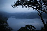 Chimpanzés [DVD], 7