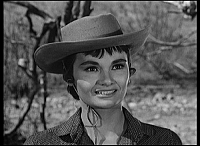 Rawhide - Staffel 1.2 [DVD], 6