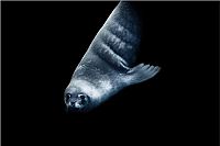 Last Ocean - Paradies am Ende der Welt [Blu-ray 3D], 2