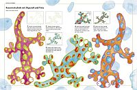 Das Ravensburger Werkbuch Farbe, 3