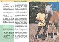 Bodenarbeit - Pferdetraining an der Hand, 4