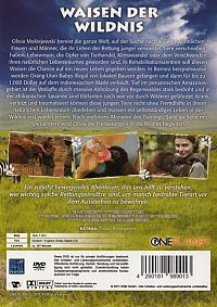 Waisen der Wildnis [DVD], 1