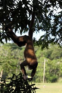 Die grosse Enzyklopädie unserer Erde - Nord- und Südamerika  [Blu-ray 3D], 1