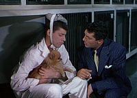 Der tollkühne Jockey [DVD], 6