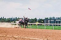 Der Schwarze Hengst - Der Schwarze Hengst kehrt zurück [DVD], 5