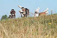 Jane Austen - Emma  [DVD], 7