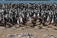 Die fantastische Reise unserer Erde  [Blu-ray 3D], 3