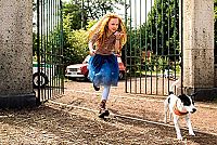 Liliane Susewind [DVD], 3