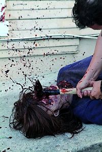 Zombie Invasion War [Blu-ray], 1