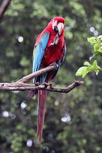 Faszination Amazonas - Südamerika [Blu-ray], 6