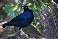 Le voyage de la vie [Blu-ray], 6