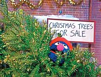 Sesamstrasse - Elmo rettet Weihnachten [DVD], 6