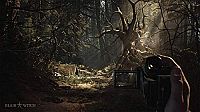 Blair Witch [Sony PlayStation 4], 1
