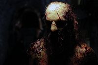 Animus - The New Maneater [DVD], 6