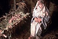 Monty Python - Das Leben des Brian [DVD], 1