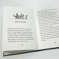 Ponyherz - Das Pferd der Prinzessin, 5