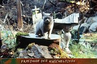 Friedhof der Kuscheltiere [DVD], 3