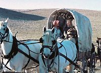 Die Krieger der Cheyenne [DVD], 4