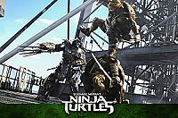 Teenage Mutant Ninja Turtles [DVD], 6