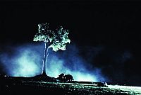 Takeshi Kitanos Dolls [DVD], 6