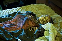 Fear Island - Mörderische Unschuld [Blu-ray], 2