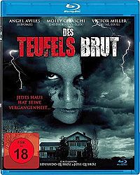 Des Teufels Brut - Deliverance from Evil [Blu-ray], 1