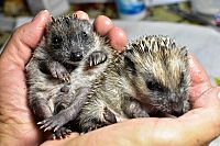 Eine Handvoll Glück, 2