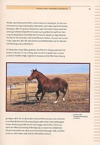 Indianisches Pferdetraining - Step by Step, 7