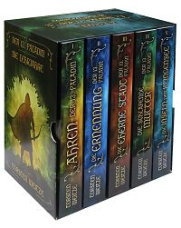 Der 13. Paladin: Die Lehrjahre: Band I - V im Schuber, 1