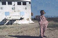 Thalassa, Thalassa - Rückkehr zum Meer [DVD], 3