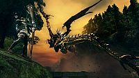 Dark Souls [Sony PlayStation 3], 4