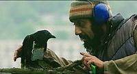 Four Lions [DVD], 4