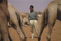 Michael Palin - Von Pol zu Pol [DVD], 2