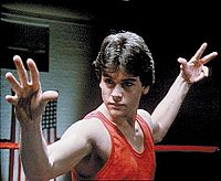 Karate Tiger [Blu-ray], 3