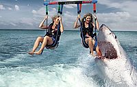 Shark Lake [Blu-ray], 4