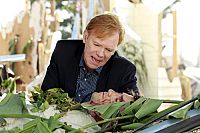 CSI: Miami - Staffel 10.1 [DVD], 4