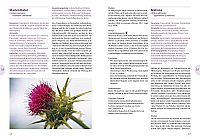 Praxishandbuch Frauenkräuter, 5