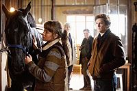 Jappeloup - Eine Legende [DVD], 2