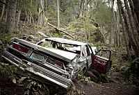 Wrecked - Ohne jede Erinnerung [DVD], 4