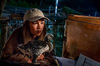 Der Junge und die Wildgänse [DVD], 5