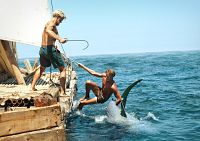 Kon-Tiki [Blu-ray], 6